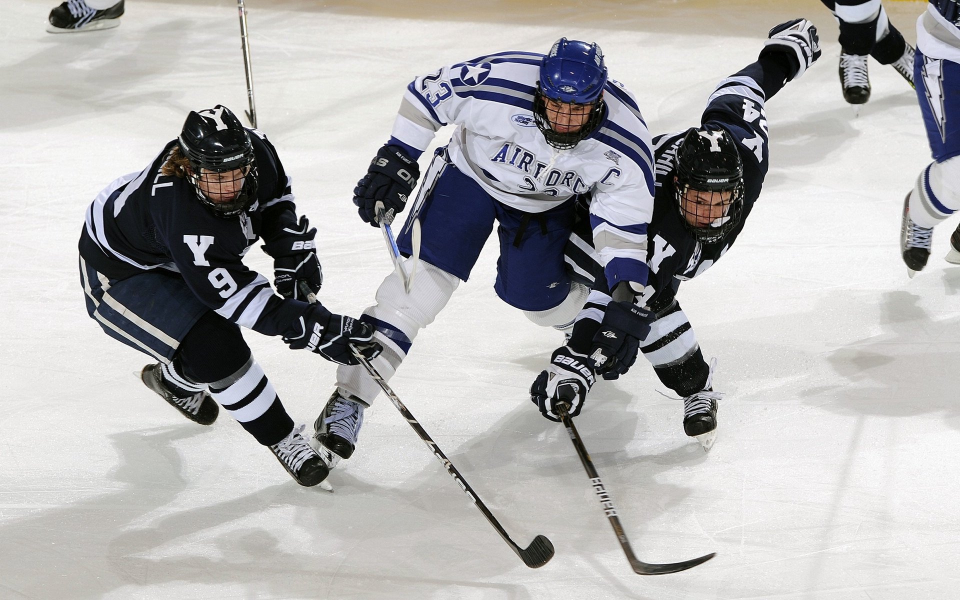 “萨尔·巴赫与南非羚羊队共同向世界杯迈进”