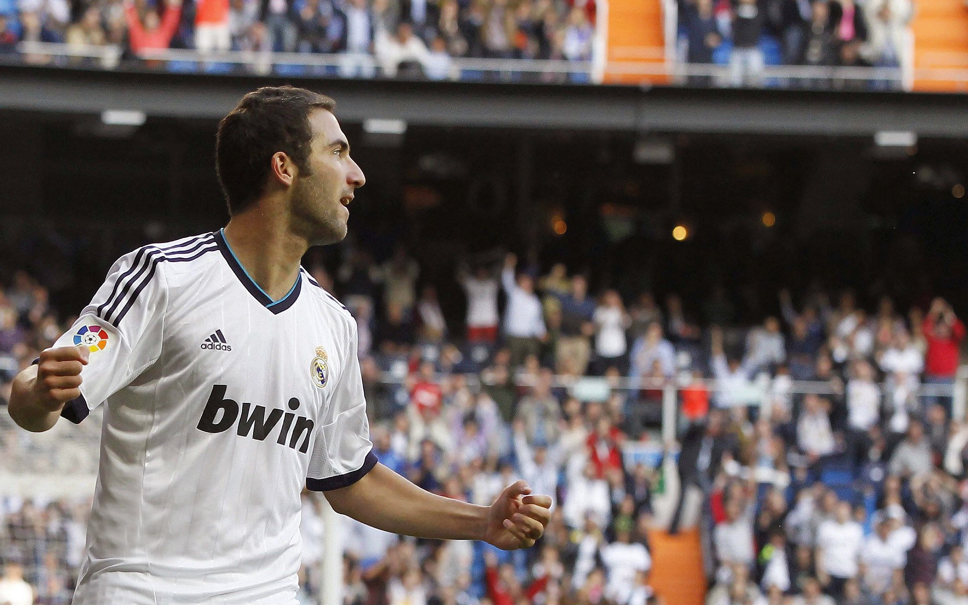 特色城市公园水上运动会,健康生活新趋势,水上运动馆